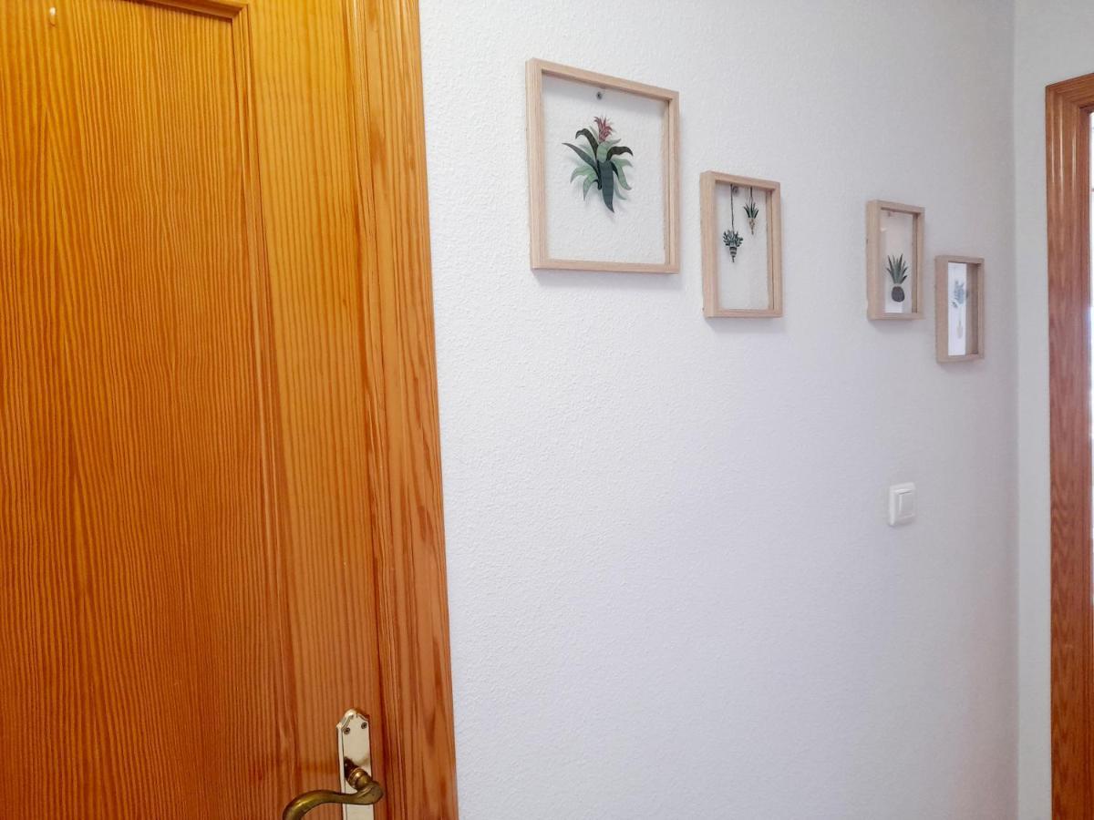 Apartamento Vistas Al Mar, 11 Planta, 50M Playa!! ミラマール エクステリア 写真