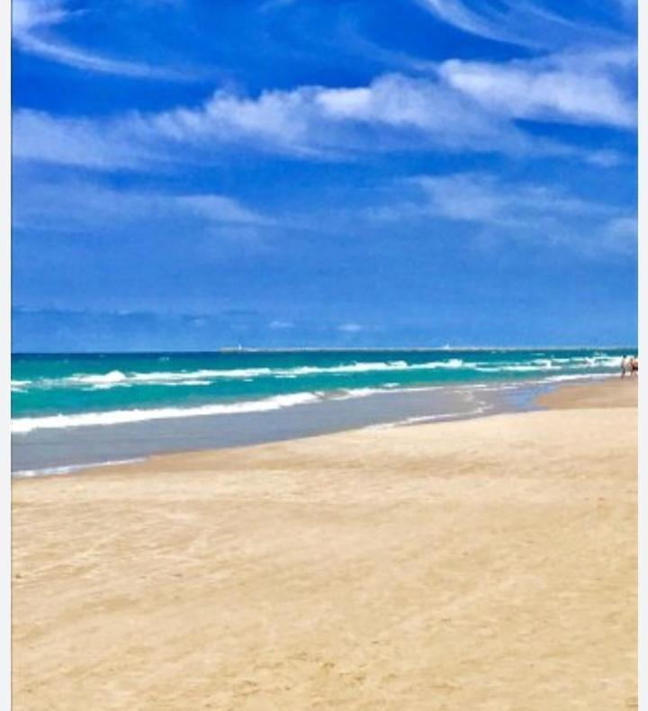 Apartamento Vistas Al Mar, 11 Planta, 50M Playa!! ミラマール エクステリア 写真